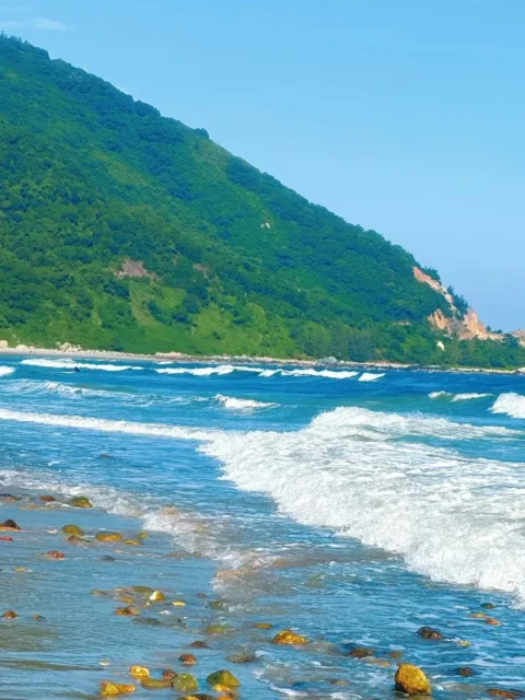 一起去巴布几内湾看海🥙
